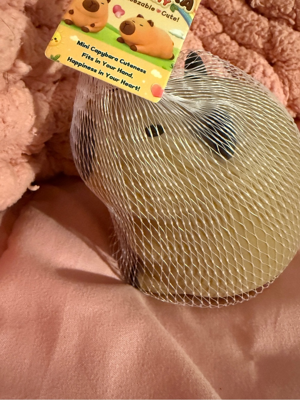 Capybara Squishy - Tan - Cute Mini Stress Relief
